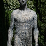 dwayne - updated 2014