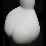 primal woman I (2013)