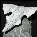 we have lift off (2014)