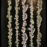 line noise II (2013)