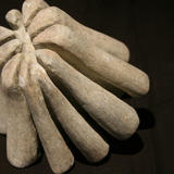 sea life 3 inverted (2016)