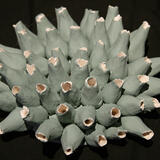 sea form series (2020)