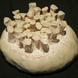 sea form series (2020)