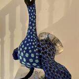 Bluebird (2002 and 2023)