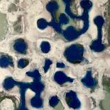 How on earth did I get here