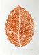 Leaf (2024)