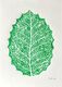 Leaf (2024)