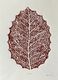 Leaf (2024)