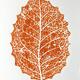 Leaf (2024)