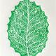 Leaf (2024)