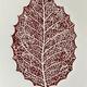 Leaf (2024)