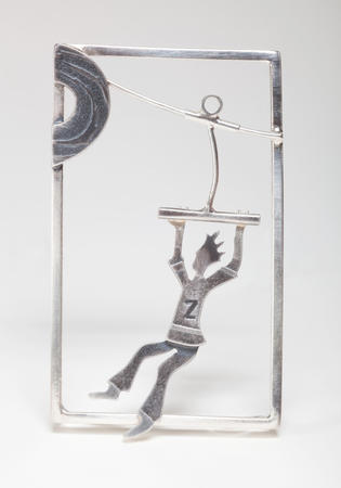 zooming on zipwires £250