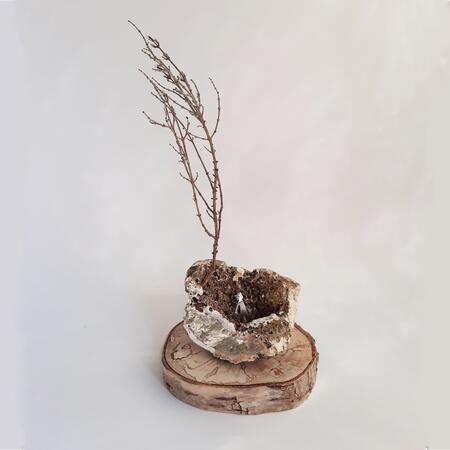 The peace of wild things