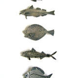 Salt water Fish brooches- Bass, Cod, Plaice, Mackerel, Bream £100