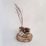 The peace of wild things