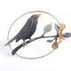 Blackbird brooch £195