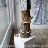 Diary of a little girl