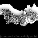 Disappointed Divisions, Hysteria and Blame