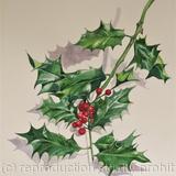 Holly Branch