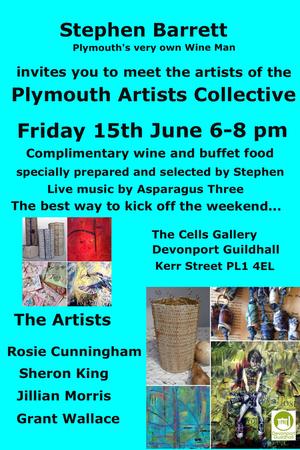 Plymouth Artists Collective Meet the Artists