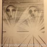 Dead Fox on the A303 