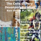 Plymouth Artists Collective Exhibition