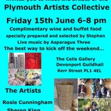 Plymouth Artists Collective Meet the Artists
