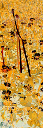 My Valentine forever. Valentine Grasshoppers #2