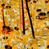 My Valentine forever. Valentine Grasshoppers #2