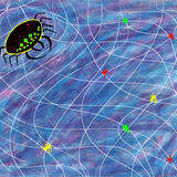 The Neurotic Spider