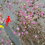 Study #17  for Mundos