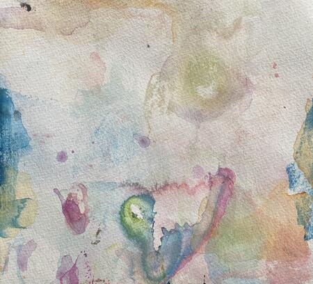 Schmetterlingsflügel