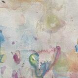 Schmetterlingsflügel