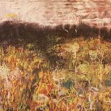 Around the racecourse