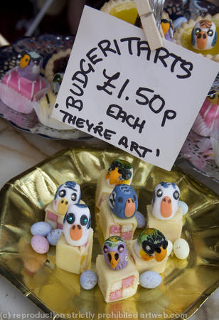 Hackney Budgie Competition, 2008, pic 2