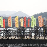 Lamma, New Year flags