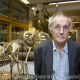 Professor Steve Jones photographed for The Sunday Times