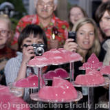 Architectural Jelly Banquet - pic 2