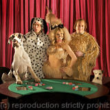 Dog Poker from That Mitchell and Webb Look, series 4