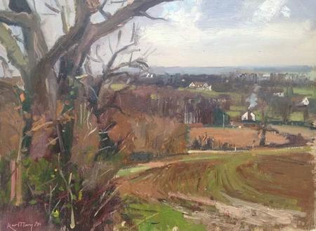 towards peasmarsh,winter