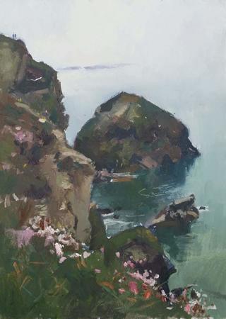 Cliffs and wild flowers, Bedruthan steps