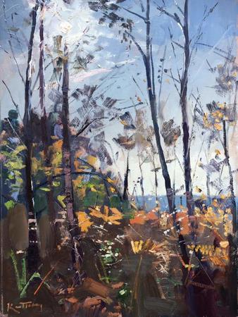 Light through the trees