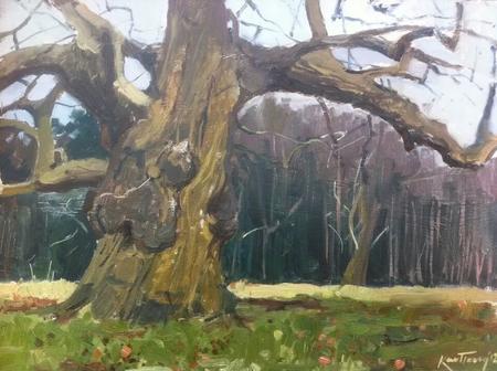 Old Chestnut ,Winter