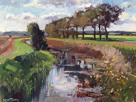 Stand of Autumn trees