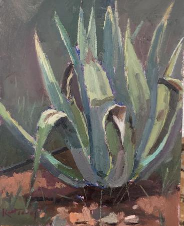 Agave Study, Portugal