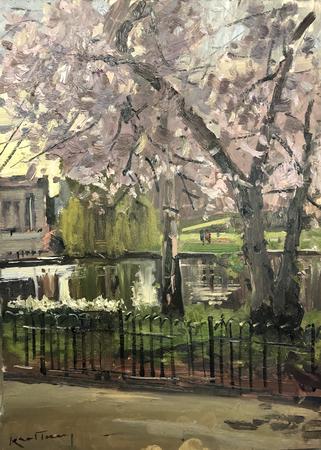 Cherry Blossom St James Park