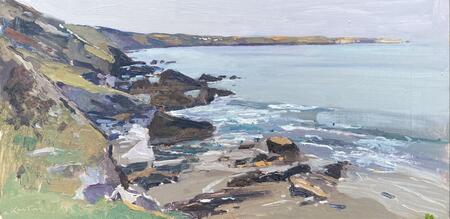 Early morning Tregardock