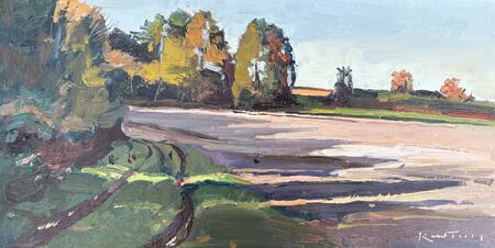 Tree Shadows Stowell Park