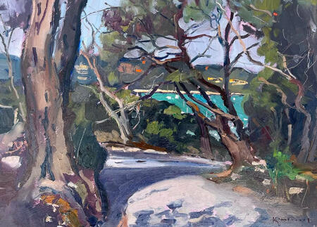 A glimpse of the sea on the road to Orkos , Paxos