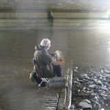 Tide coming in on John Shave under Putney Bridge